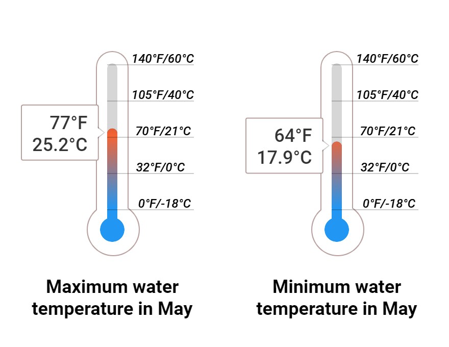 Average Sea temperature